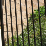 Fences